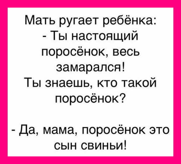 Смешные картинки