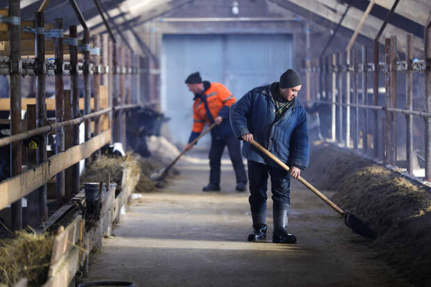 «Жизнь фермерских хозяйств не из легких»: почему в Татарстане снижается число КФХ