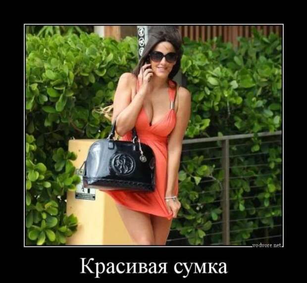 Прикольные демотиваторы с надписями. Подборка chert-poberi-dem-chert-poberi-dem-50041212082020-6 картинка chert-poberi-dem-50041212082020-6