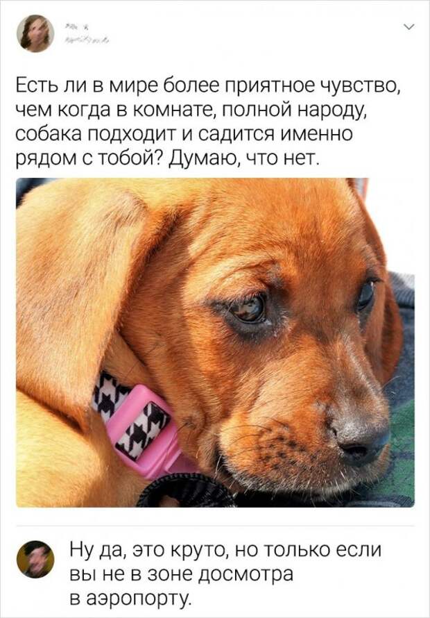www.vsyako.net