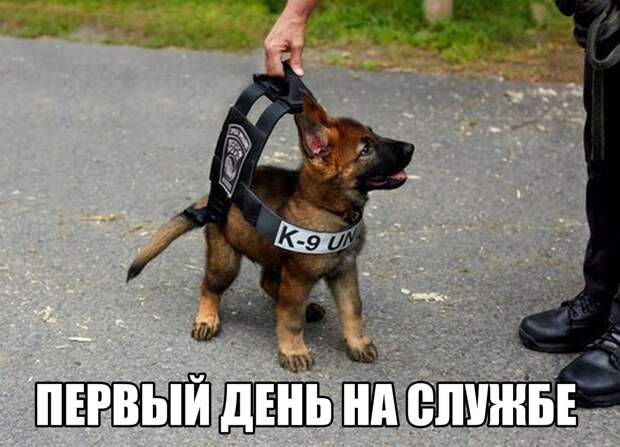 Интересные картинки с надписями для настроения (10 фото) Интересные картинки с надписями для настроения (10 фото)