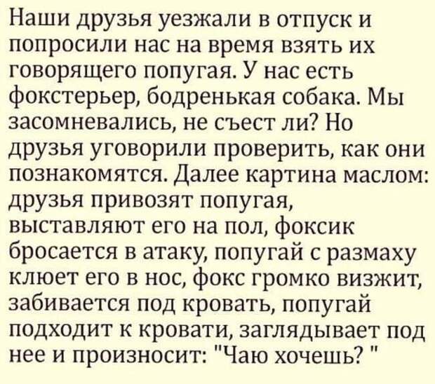 Юмор для всех: 25 свеженьких шуточек, анекдотов и историй для чудесного настроения