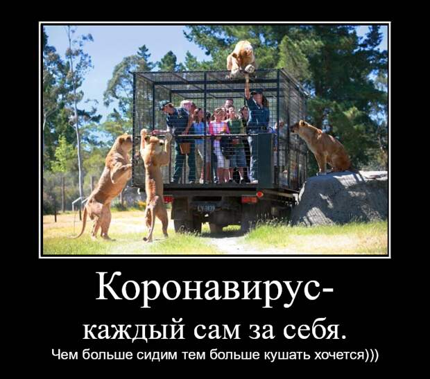 Прикольные демотиваторы с надписями. Подборка chert-poberi-dem-chert-poberi-dem-14080424072020-18 картинка chert-poberi-dem-14080424072020-18