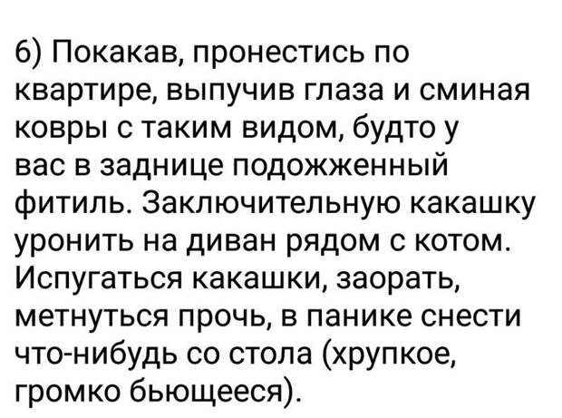 Наш ответ хвостатым животные, кошка, юмор