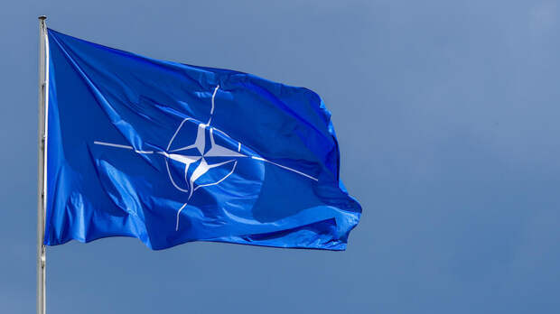 Келлог назвал НАТО трусами и призвал к созданию нового альянса с Украиной