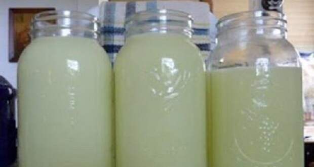 IMMEDIATELY-BEGIN-TO-USE-IT-He-Drank-This-Drink-Every-Day-And-Lived-152-Years