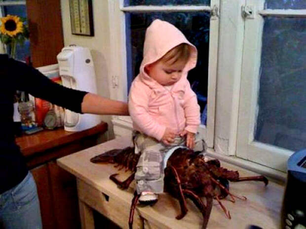 Фотография: 15 фотографий, доказывающих, что лучший источник позитива — это дети №5 - BigPicture.ru