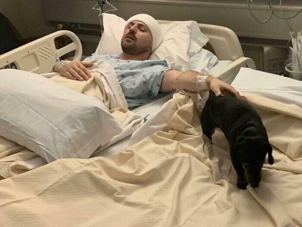 Подборка добрых снимков с животными, которые согревают душу