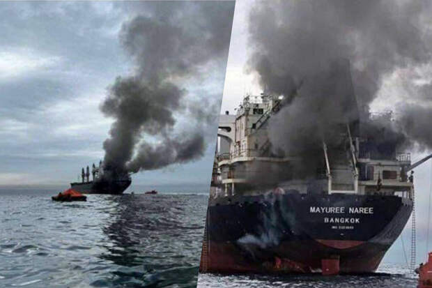 Политолог Дудаков: у Европы и Японии мало сил для защиты Ормузского пролива