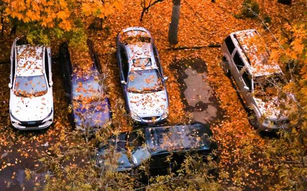 Как наказать соседа, который «запер» вашу машину на парковке?