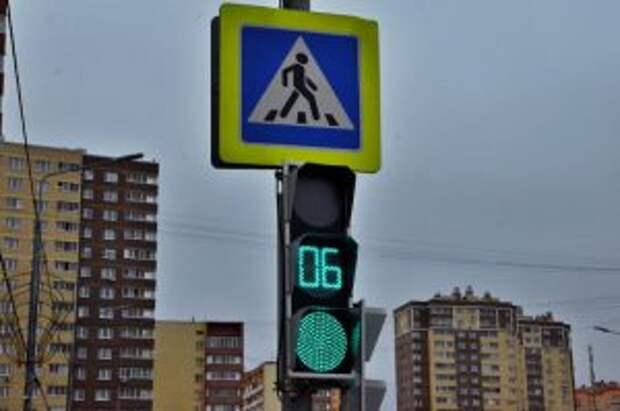 В Центральном округе проводится мероприятие "Пешеходный переход". Фото: Анна Быкова
