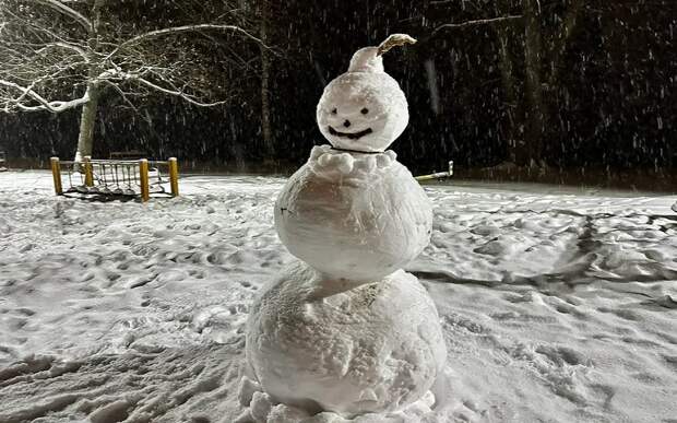 Рязанскую область ждет резкое потепление