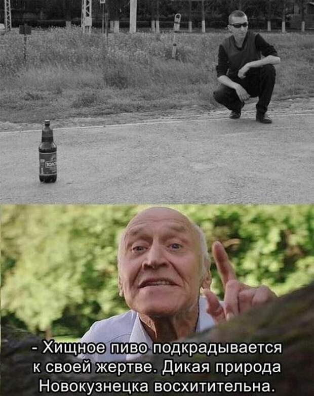 Подборка супер ржачных до слез картинок и мемов
