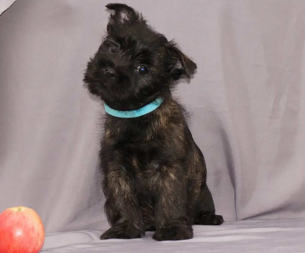 Профиль - Наталья Крюкова - 371920914 - Медиаплатформа МирТесен