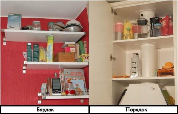 Коварные вредители, которые лишают квартиру уюта