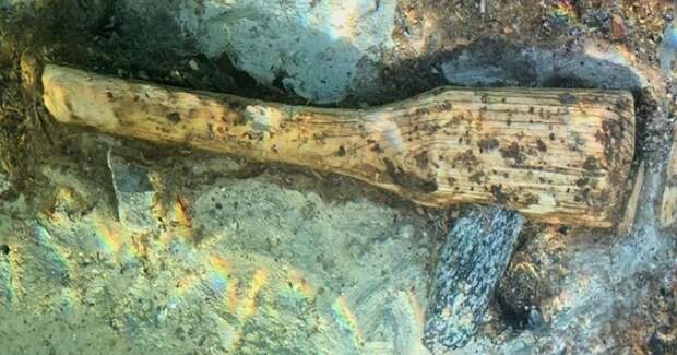 У берега Штекборна в Боденском озере нашли 4,8‑тысячелетний топор