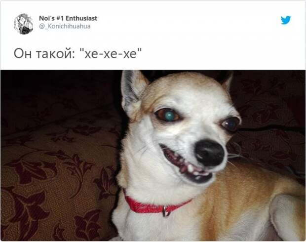 www.vsyako.net