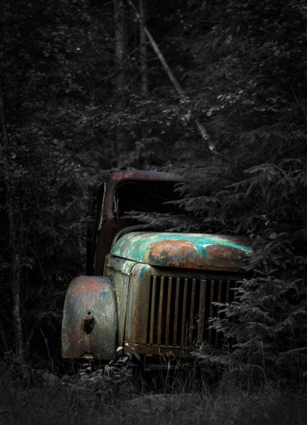 Старая заброшенная машина в чаще густого леса.
