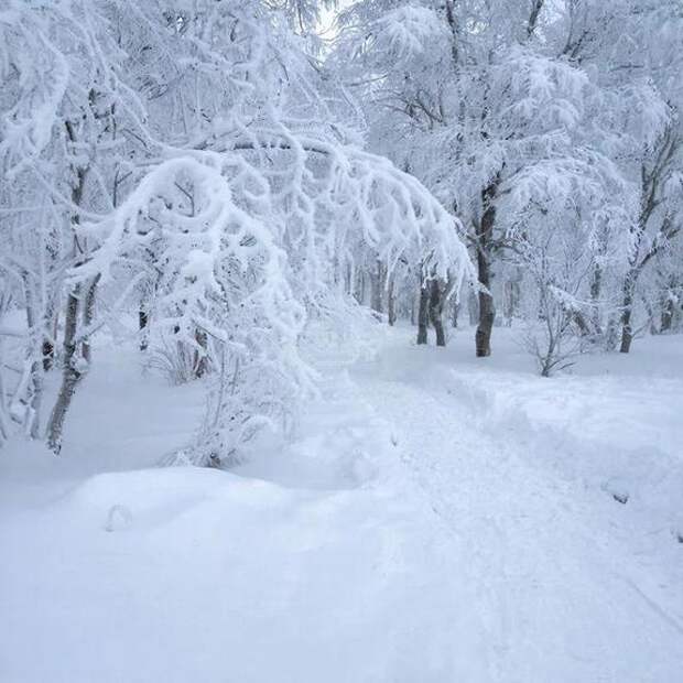 Эксперт РАН Данилов-Данильян: сказать, что будет весной, точно нельзя