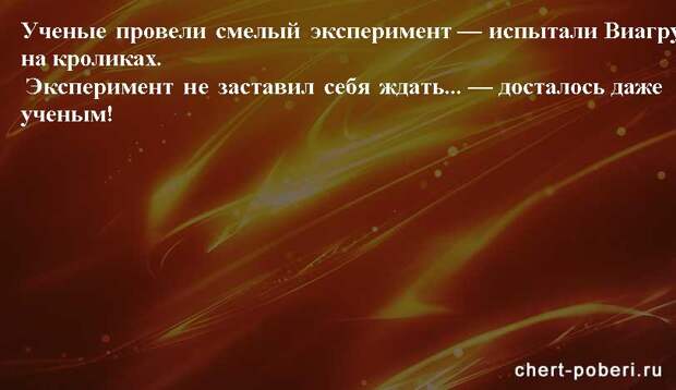 Самые смешные анекдоты ежедневная подборка chert-poberi-anekdoty-chert-poberi-anekdoty-34591112082020-8 картинка chert-poberi-anekdoty-34591112082020-8