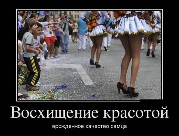 Демотиваторы демотиваторы, прикол, юмор
