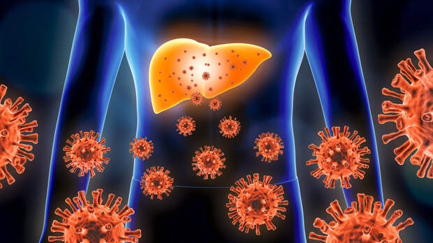 Терапевт Костечко: инкубационный период гепатита А может длиться до 30 дней