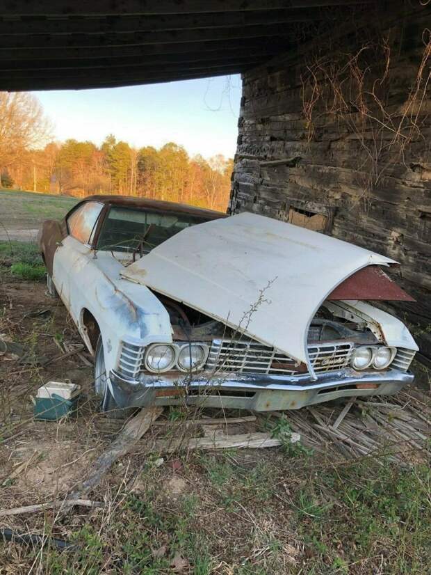 Брошенная Chevrolet Impala простояла 35 лет под навесом в поле barn find, chevrolet, авто, автомобили, олдтаймер, ретро авто
