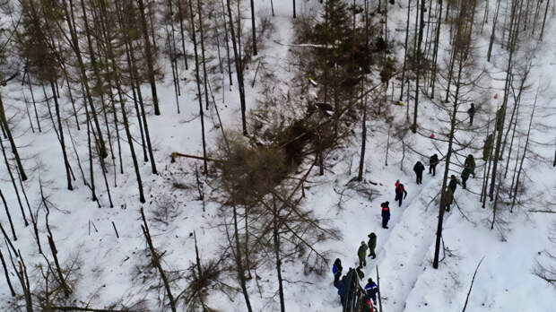Кадры с места крушения вертолета в Амурской области
