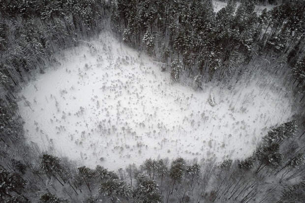 Появились подробности о насмерть замерзшем в тайге с четырехлетним сыном россиянине