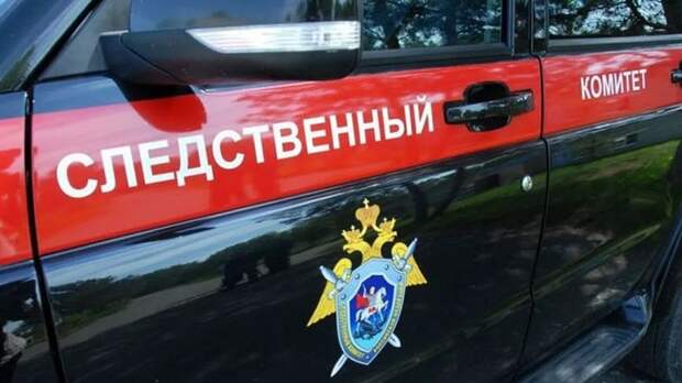 СК начал проверку после жалобы жительницы алтайского села Медведеву