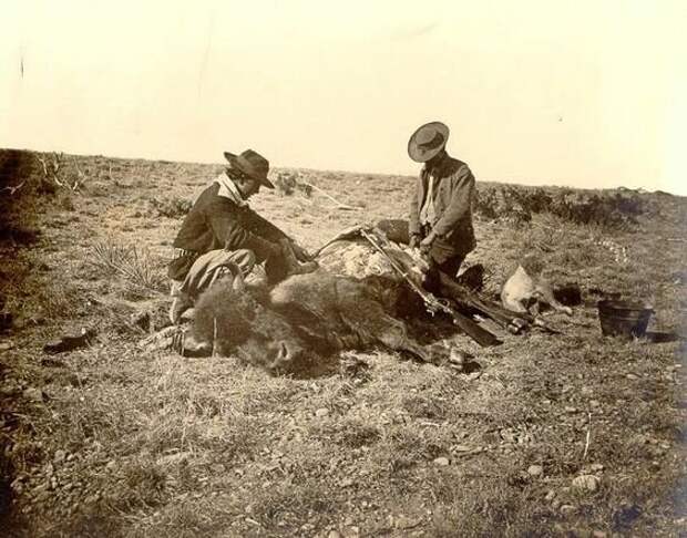 Добыча шкуры бизона. Округ Тейлор, штат Техас. Фото сделано в 1874 году