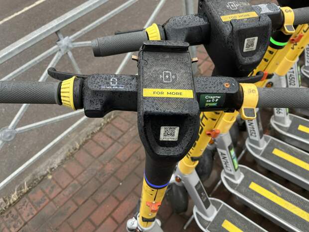 Петербург оказался самым главным в России угнетателем кикшеринга