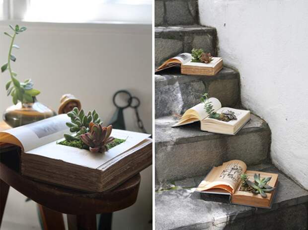 Комнатные растения в книге