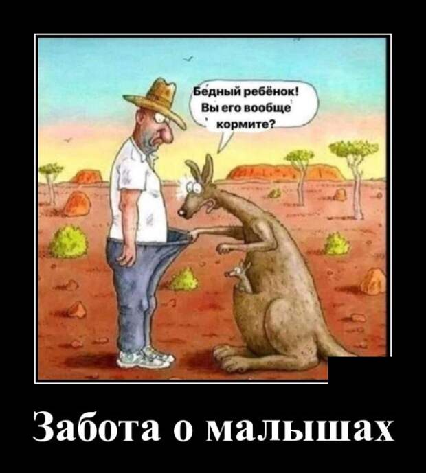 Демотиваторы (30 фото)