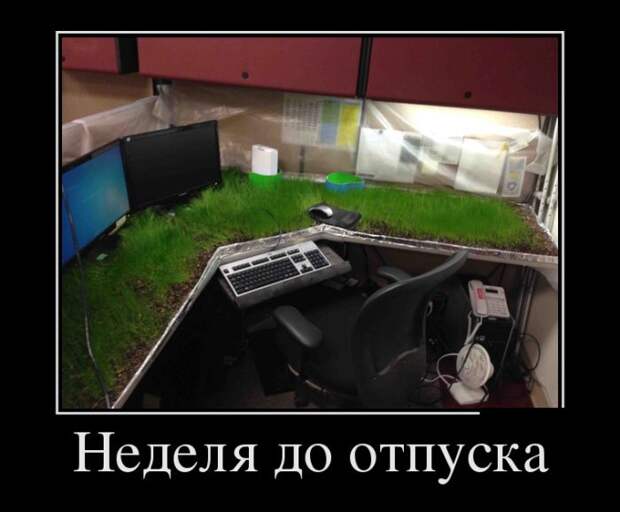 Демотиваторы (30 фото)