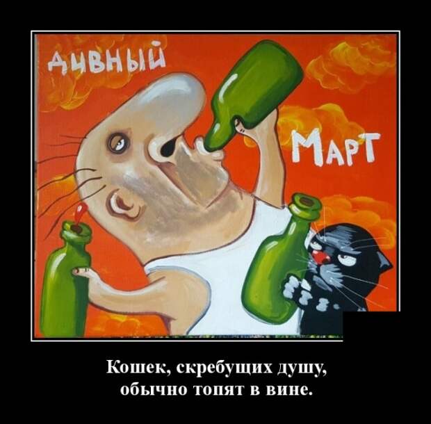 Демотиваторы смешные