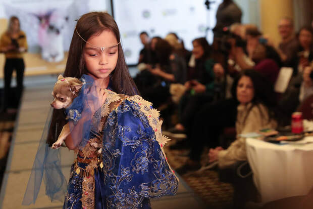 New York Pet Fashion Show