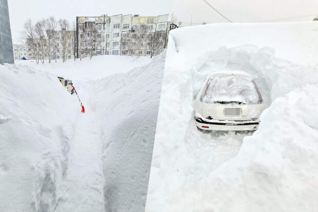 Жители Петропавловска-Камчатского прокопали в снегу тоннель до спортзала