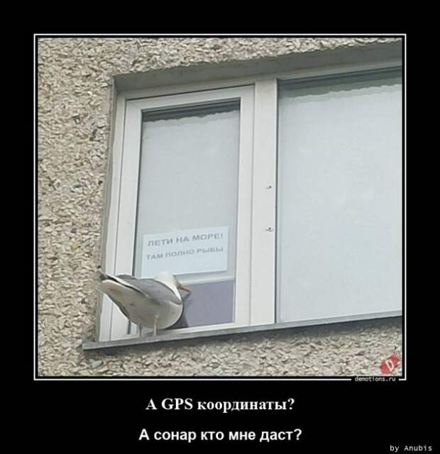 Демотиваторы нового дня: «Лети на море!» (14 фото)