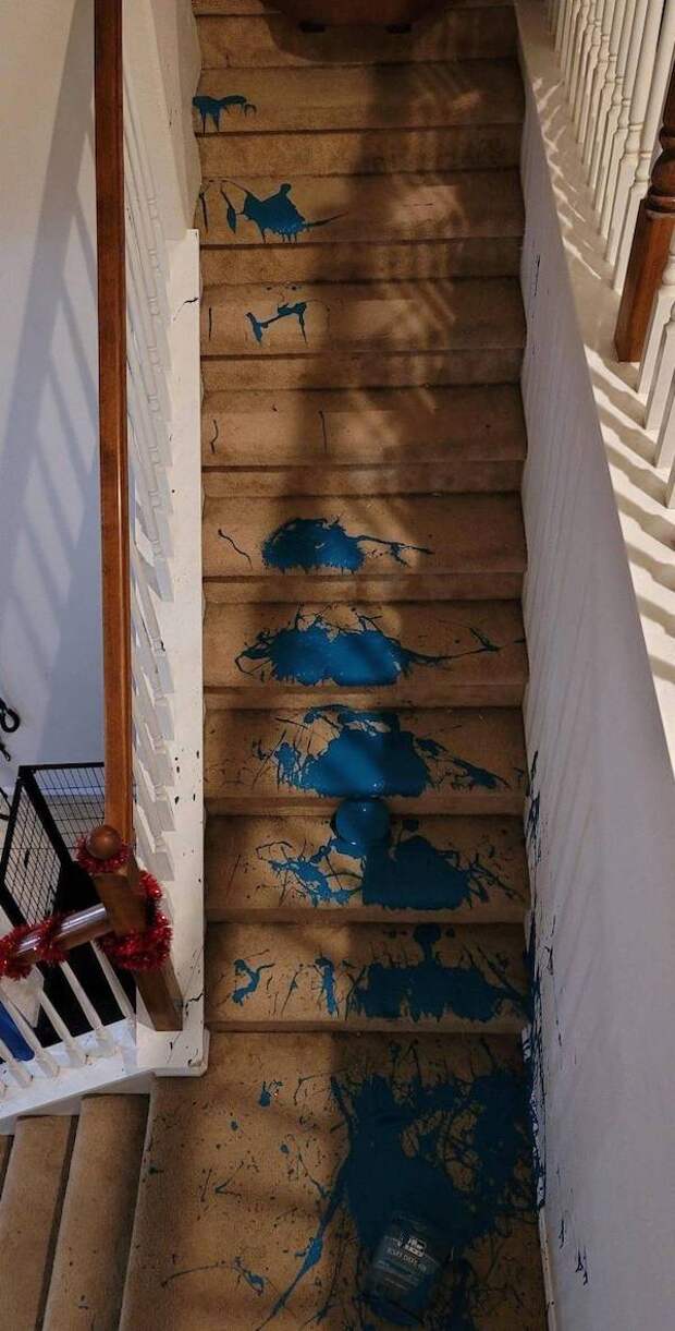 Bigpicture.ru Дети – это ходячая катастрофаpicdump 3931 640 high 44