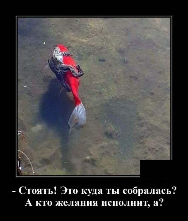 Демотиватор про желания