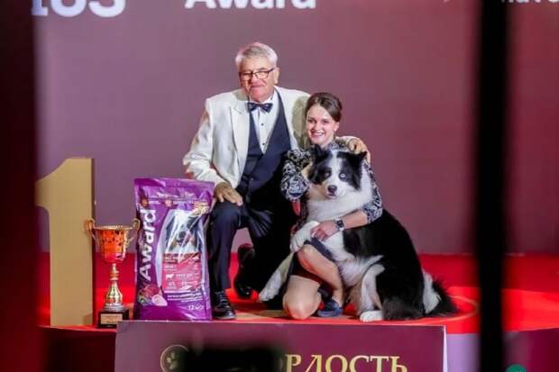 Якутская лайка стала лучшей собакой России