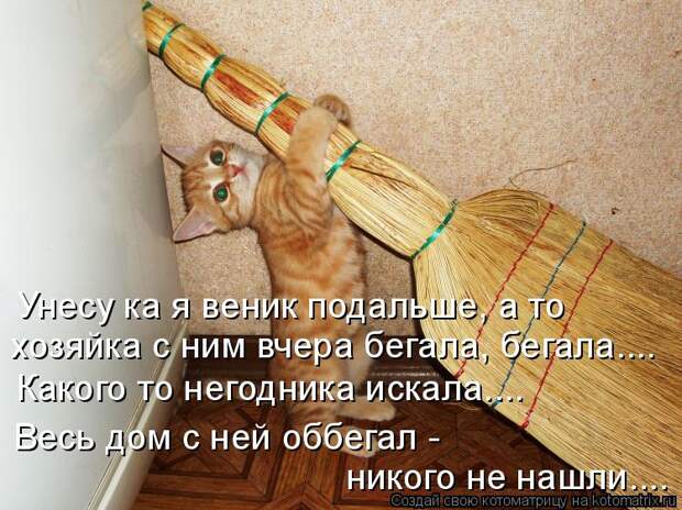 Котоматрица: Унесу ка я веник подальше, а то хозяйка с ним вчера бегала, бегала.... Какого то негодника искала.... Весь дом с ней оббегал - никого не нашли....