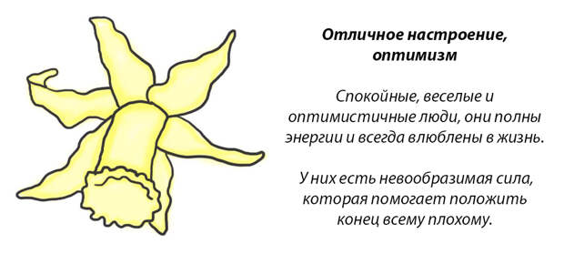 У каждого месяца есть цветок-покровитель. Какой он у вас?