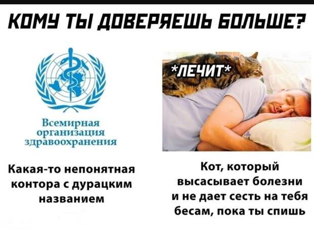 картинки с приколами для поднятия настроения (12)