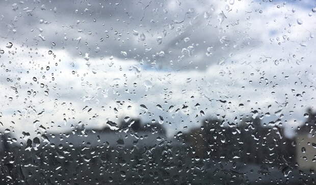 Дожди вернутся в Приморье: синоптики назвали сроки
