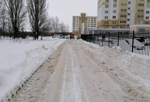 На улице Птицеводов в Рязани жители просят построить новую дорогу к дому