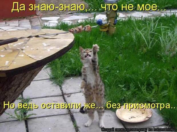 Котоматрицы