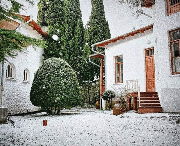 О шпионах, поездке к морю и апачах: февральское расписание кинопоказов на Белой даче в Ялте