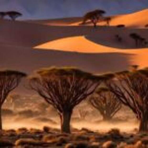 Россия-Намибия